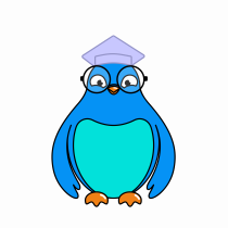 Qiti bird test diff versions-06