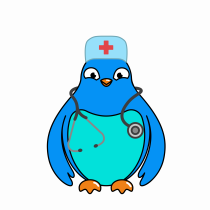 Qiti bird test diff versions-11